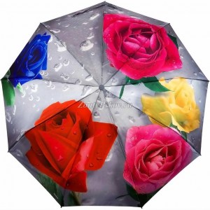Необычный зонтик с розами, полуавтомат, Amico, арт.0707-2